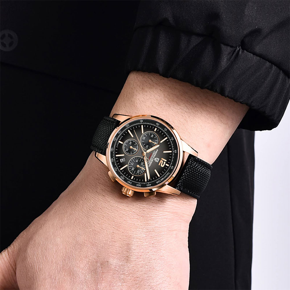 PAGANI DESIGN новые мужские ча – обзор и цена Luxury Watch For Sale